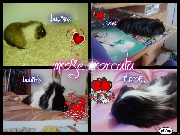 pizap.com13198261452542