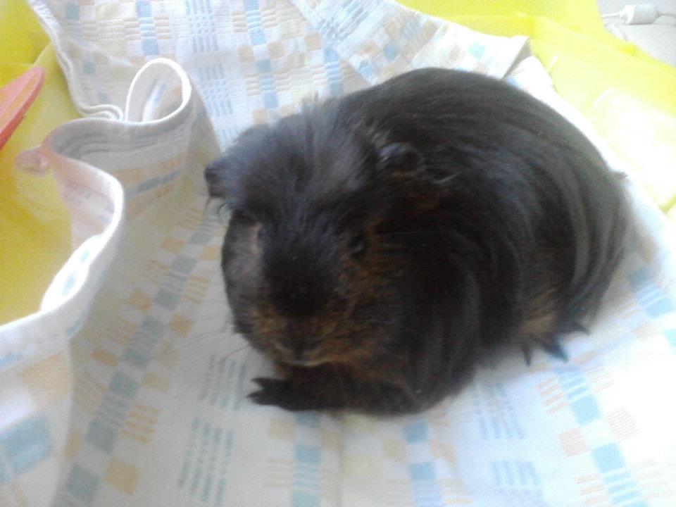 381841_265738950141072_100001149072723_737786_2109263604_n