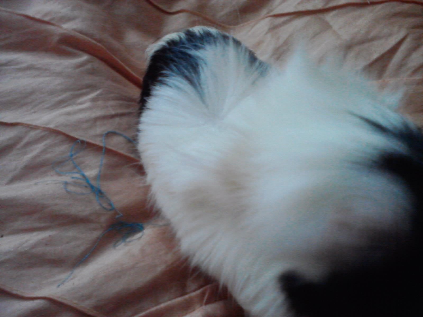 P150511_11.39_[02]