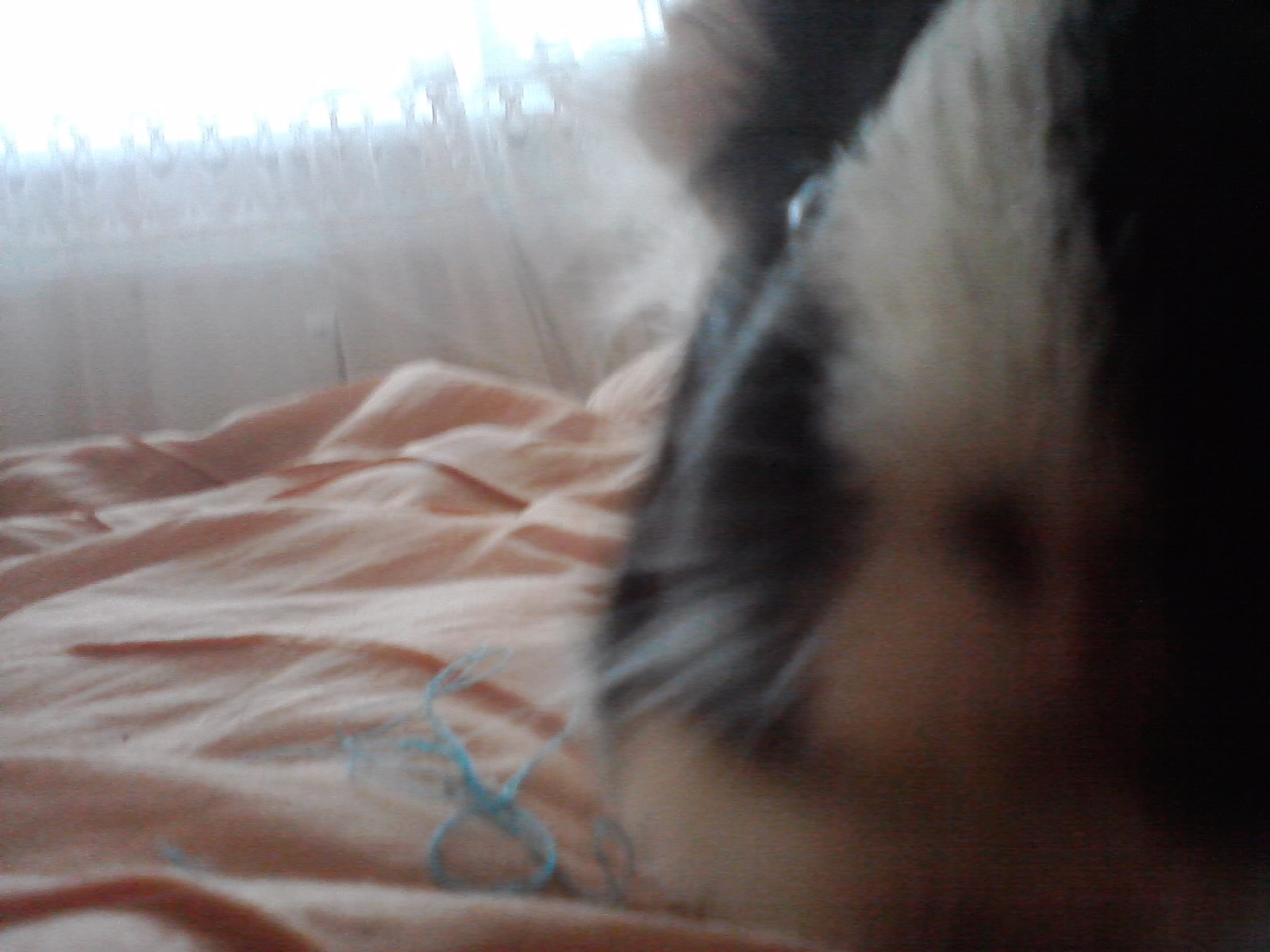 P150511_11.38_[02]